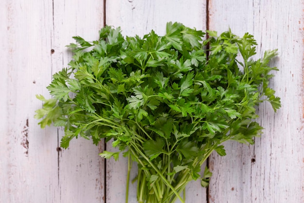 Photo bunch of fresh juicy parsley