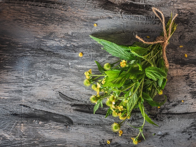 Photo a bunch of fresh medicinal gravilat tied with twine a medicine