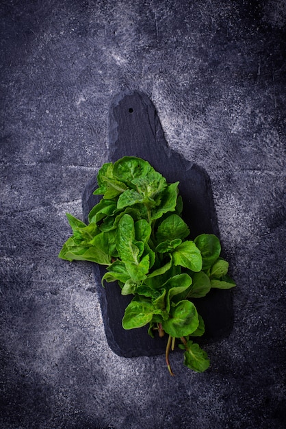 Bunch of fresh mint on cutting board