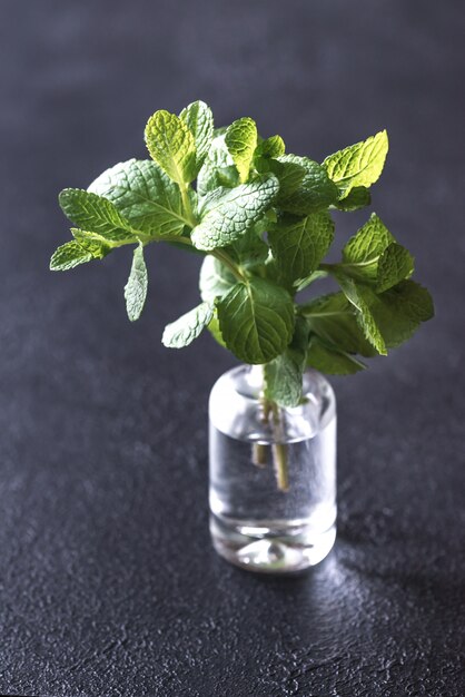 Bunch of fresh mint in the glass vase