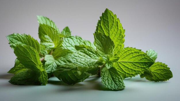 A bunch of fresh mint leaves on a table