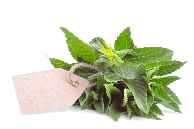 A bunch of fresh mint with a sticker. isolated