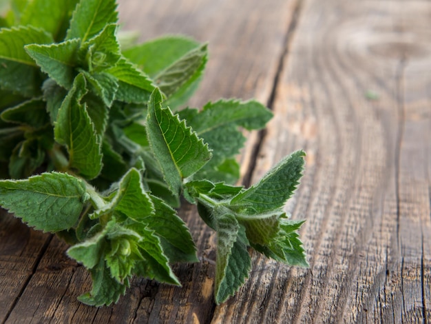 A bunch of fresh mint on a wooden table Healthy food concept