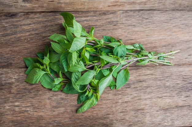 Bunch of fresh organic basil on rustic wooden background