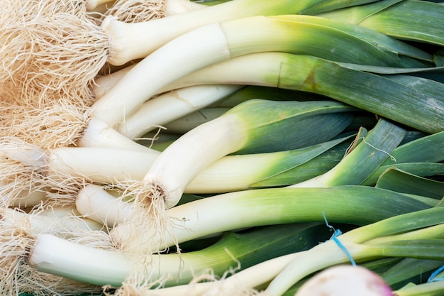 Bunch of fresh organic leek on the market