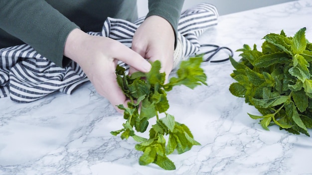 Mazzo di menta fresca biologica dal giardino estivo.