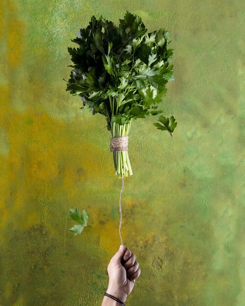 Bunch of fresh parsley on green background in the form of a balloon in hand