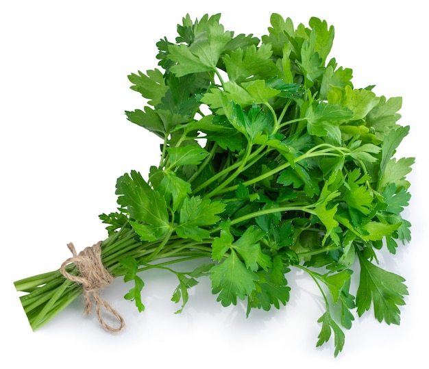 Bunch fresh parsley isolated on white background.