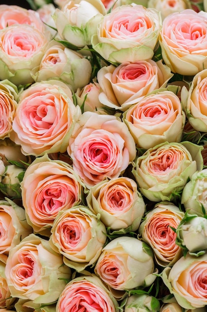 Bunch of fresh pink pale roses floral background