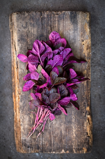 A bunch of fresh purple amaranth