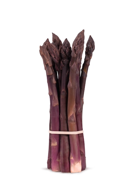 Bunch of fresh purple asparagus isolated on white. Fresh vegetables.