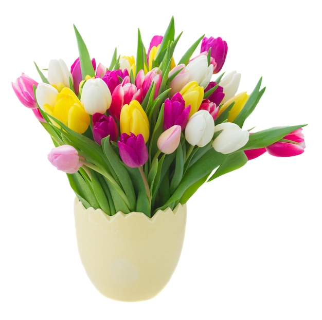 Bunch of fresh purple, pink, yellow and white tulip flowers in yellow pot 