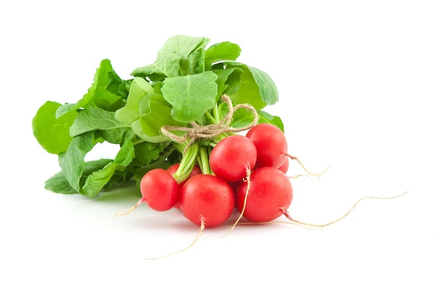 A bunch of fresh radishes on white background