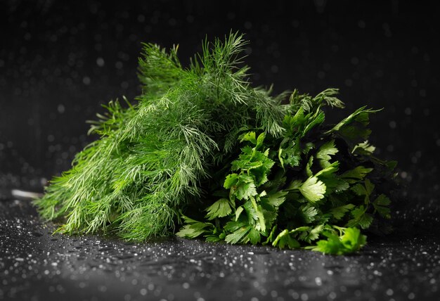 A bunch of fresh raw green dill on dark background with water drops