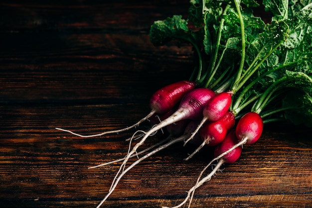 Bunch of fresh red radish