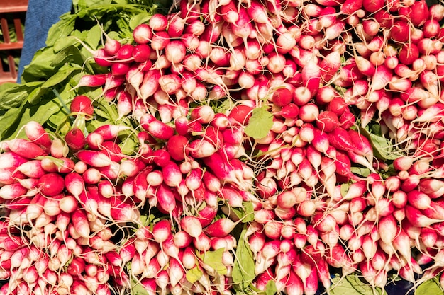 Bunch of fresh red radishes on a bio market