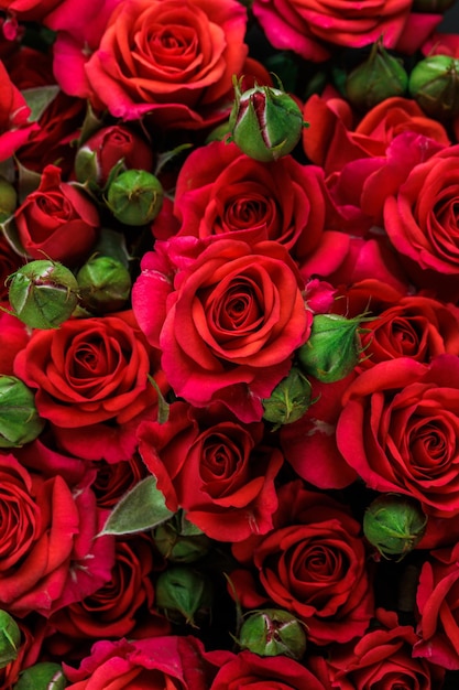 Bunch of fresh red roses floral background