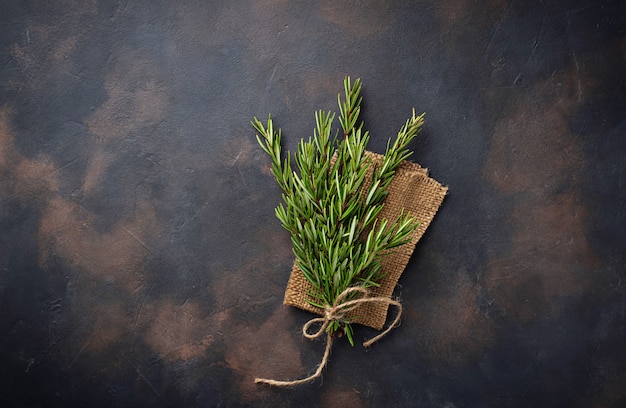 Bunch of fresh rosemary on dark background