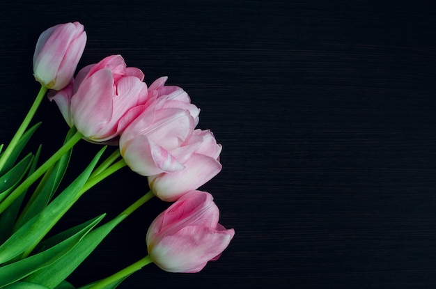 Bunch of fresh spring pink tulips