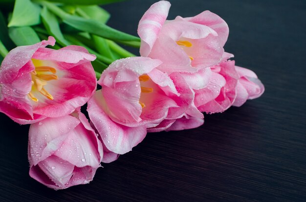 Bunch of fresh spring pink tulips