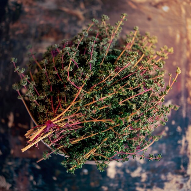 Photo bunch of fresh thyme on dark rustic background