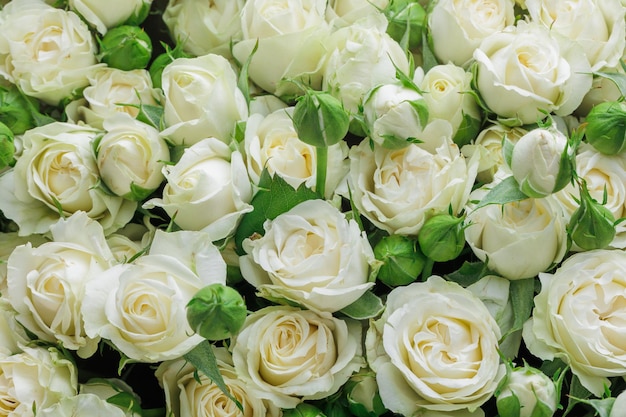 Bunch of fresh white roses floral background