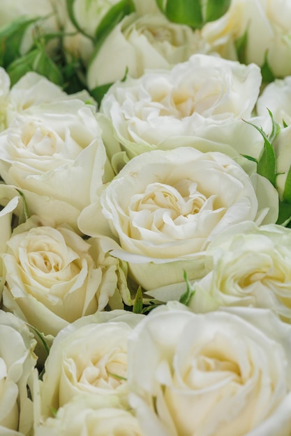 Bunch of fresh white roses floral background