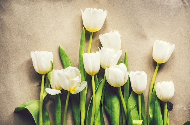 Un mucchio di tulipani bianchi freschi