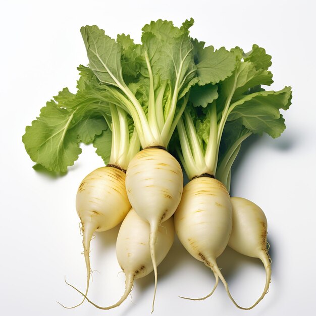 A bunch of fresh white turnips with green leaves