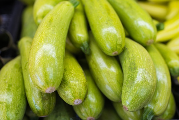 A bunch of fresh zucchini zucchini at the grocery store