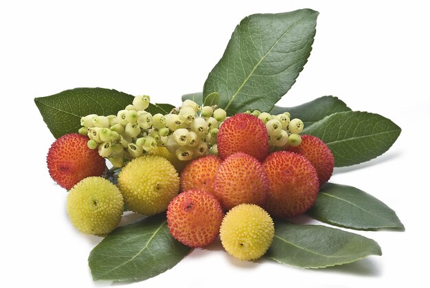 Photo a bunch of fruit including berries and a leaf