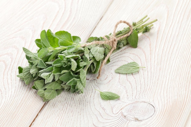 Bunch of garden oregano herb