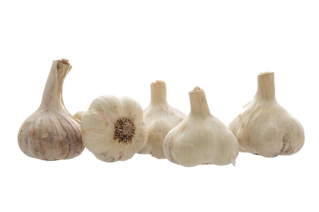 Bunch of garlic on a white background