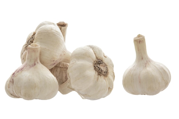 Bunch of garlic on a white backgroundxA