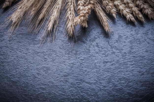 Photo bunch of golden wheat and rye ears on black background