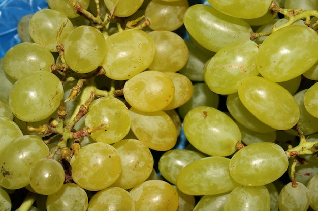 Грозди винограда укладываются друг на друга.