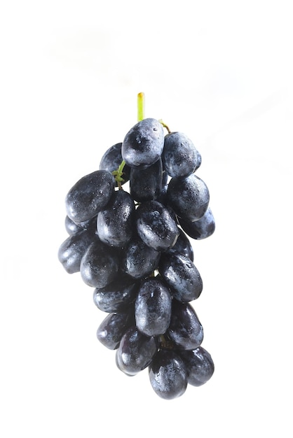 Bunch of grapes or blackcurrants isolated on white background