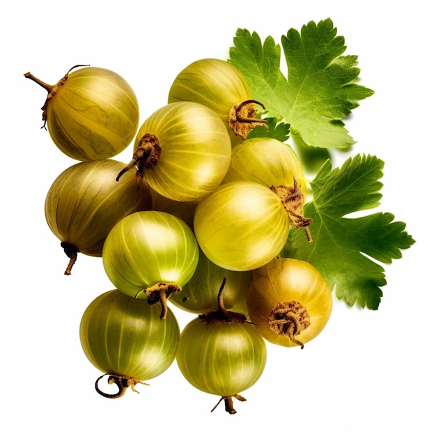 A bunch of grapes with a green leaf and a green leaf