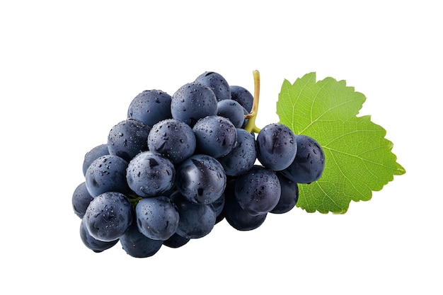 Bunch of grapes with leaf isolated on white