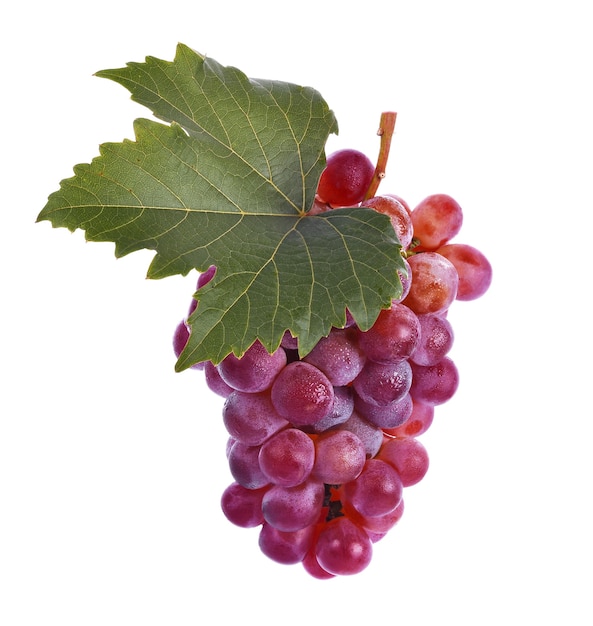 Bunch of grapes with leaves on white background