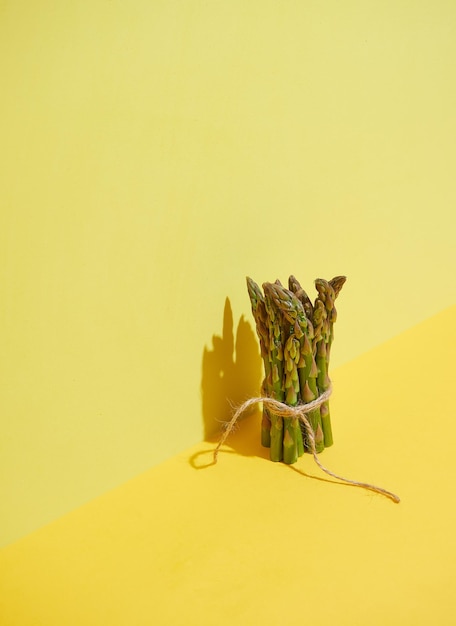 Bunch of green asparagus tied with string upright on yellow background and surface Hard light with cast shadows