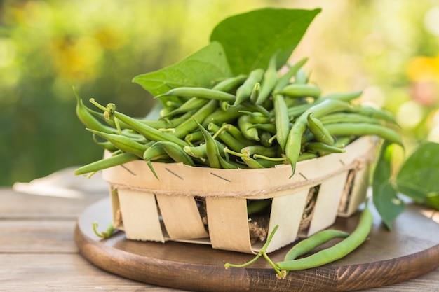 Bunch of green beens on green nature