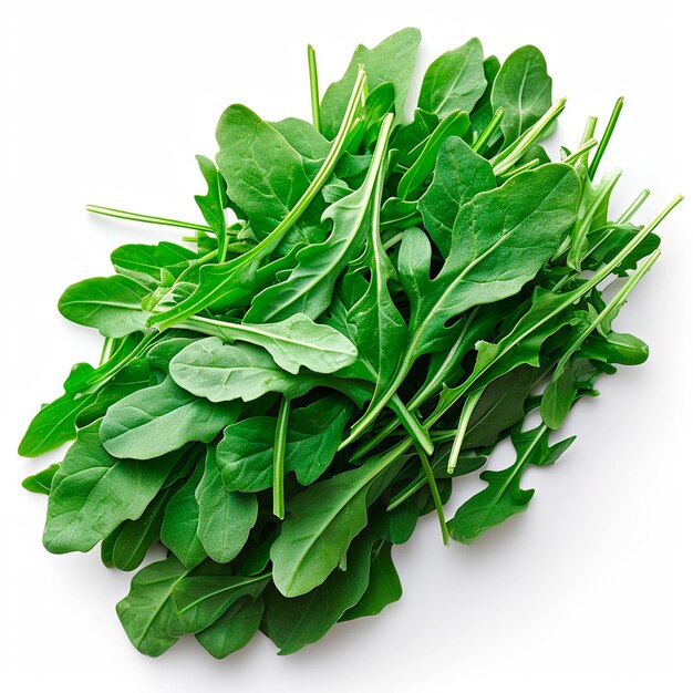 Foto immagine generata dall'ai su sfondo bianco con un grappolo di arugula verde fresca e foglie di arugola