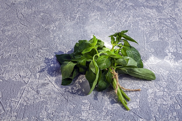 Bunch of green and fresh basil