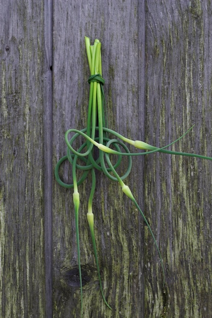 bunch of green garlic flowers on the wooden background in summer garden