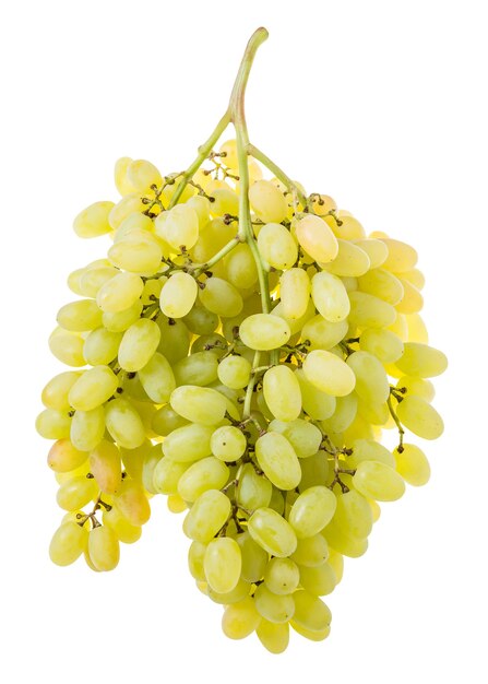 Bunch of green grapes isolated on white background