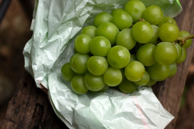 Grappolo d'uva verde su carta pergamena.