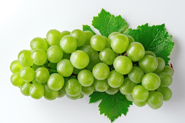 Bunch of Green Grapes With Leaves on a White Background A cluster of green grapes complete