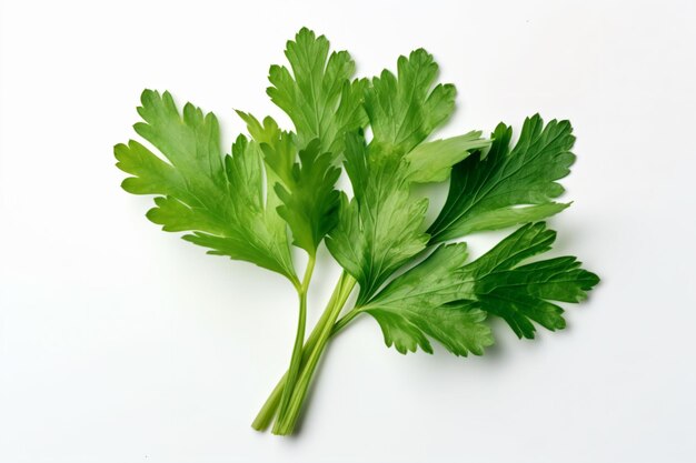 Photo a bunch of green leaves on a white surface