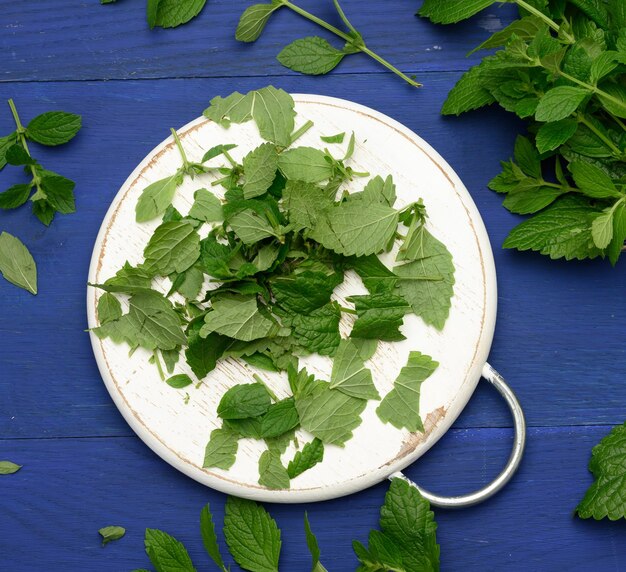 Foto bunch di menta verde su uno sfondo di legno blu spezia profumata per cocktail e dessert vista dall'alto